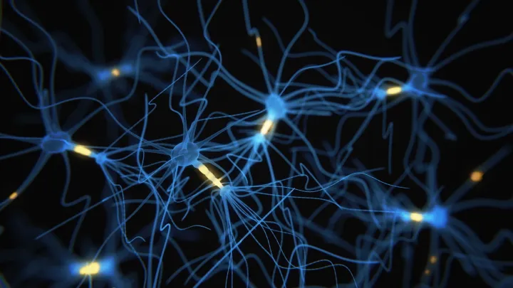 В процессе эволюции у нас развились особые нейроны, которые научились предугадывать следующие ноты.