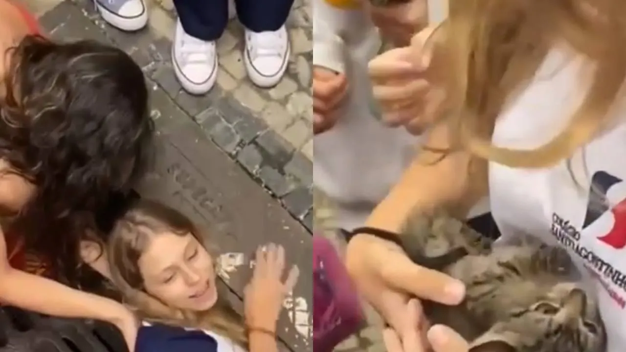 Девочка спасает котенка.