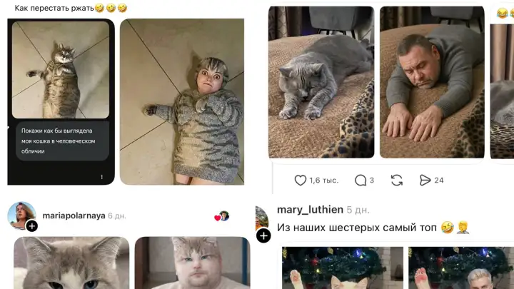 Хозяева рыдают от смеха: нейросеть превратила их питомцев в людей