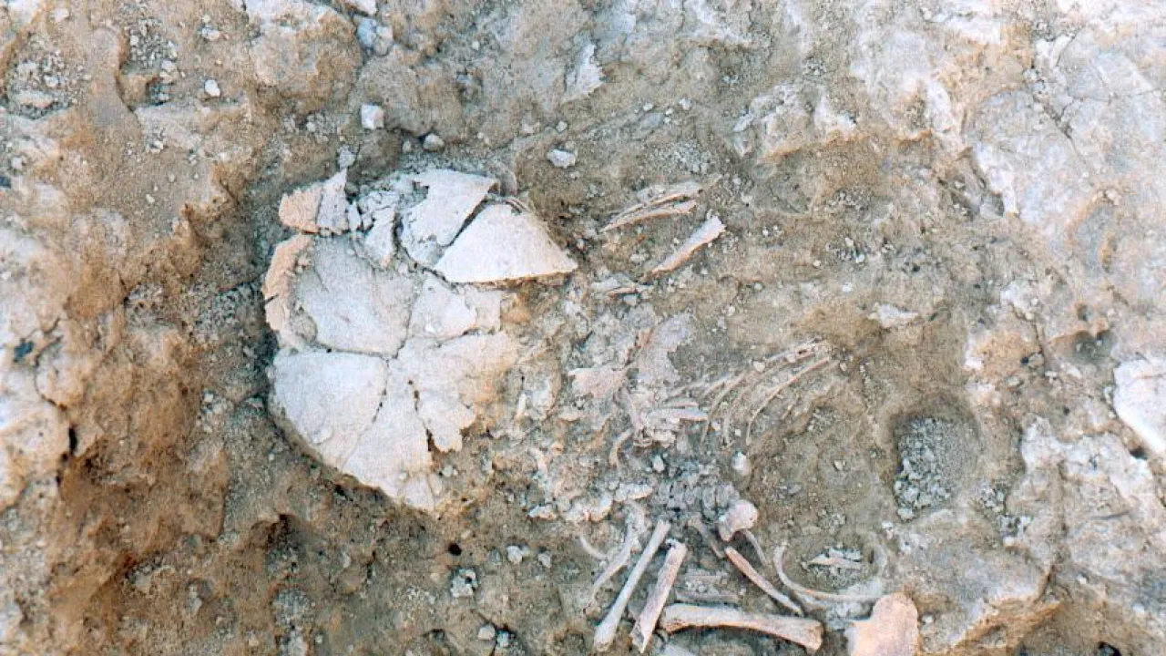 Останки младенца с синдромом Дауна, захороненные в одном из домов поселения железного века.