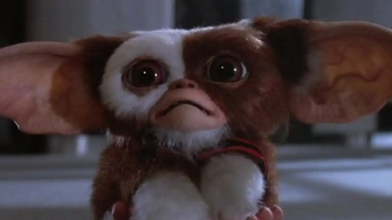 Кадр из фильма «Гремлины».