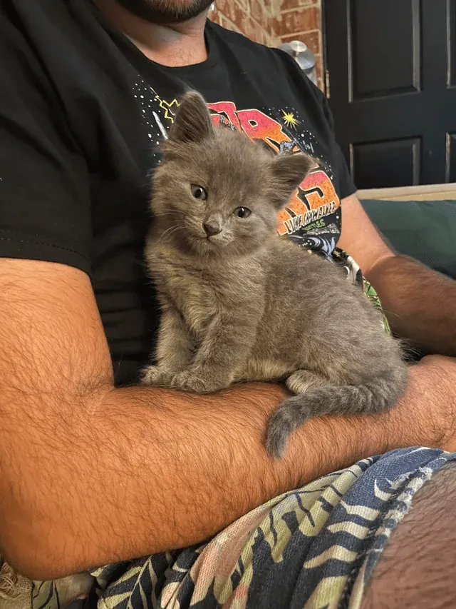 «Нашел этого парня на улице». 