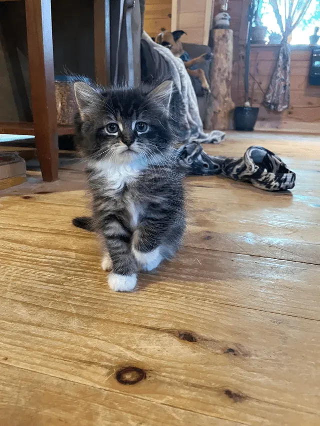 «Помогите мне подобрать имя преступнику».