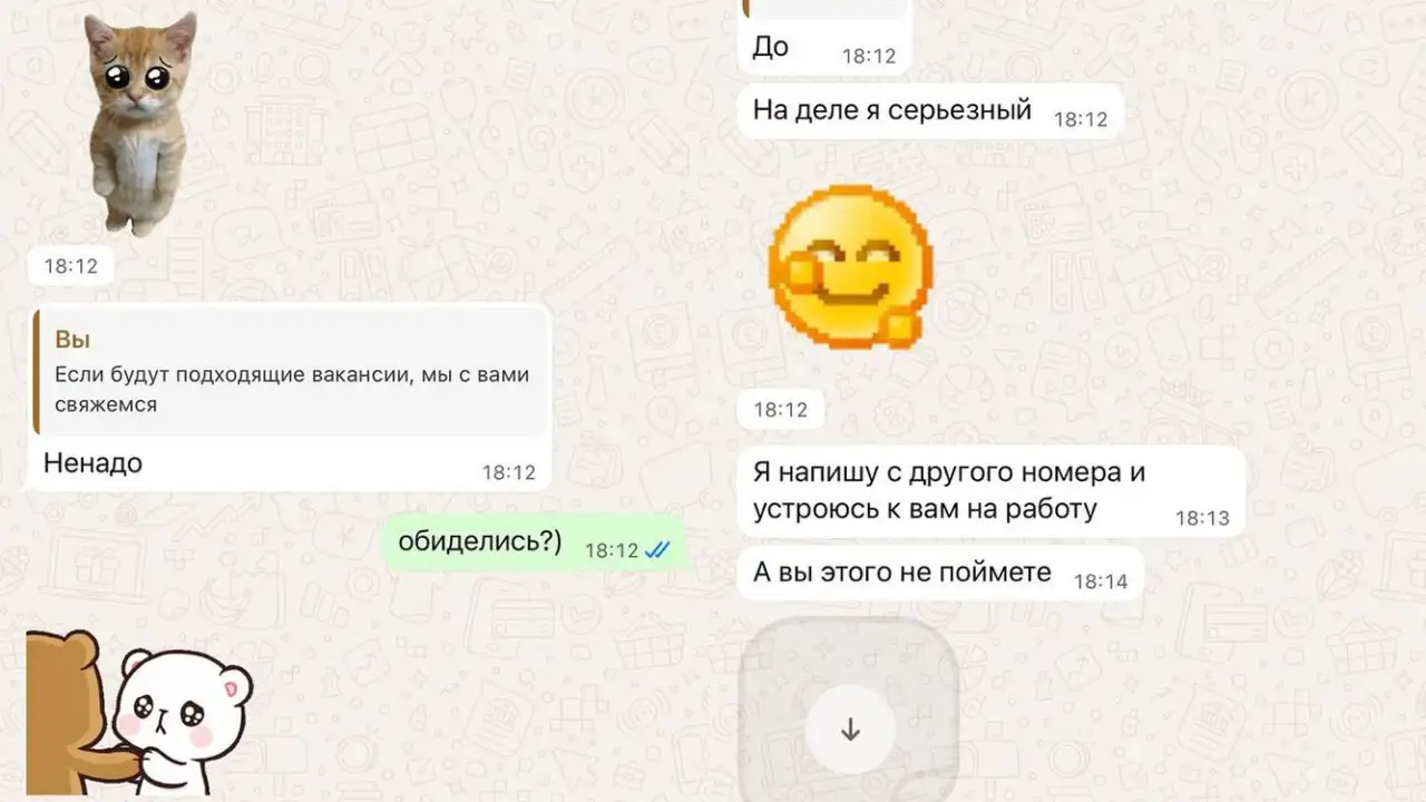 Скриншот переписки.