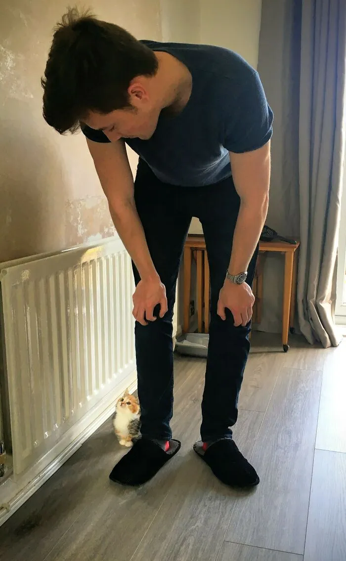 «Мой муж не мог завести домашних животных. Когда мы купили наш первый дом, я приготовила ему небольшой сюрприз».