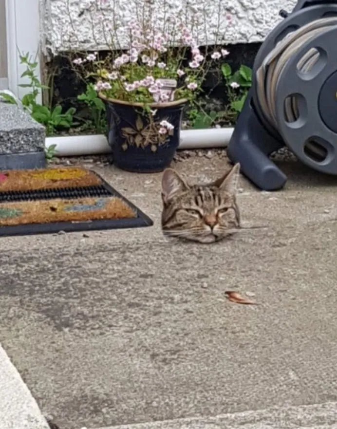 Застрял в текстурах.