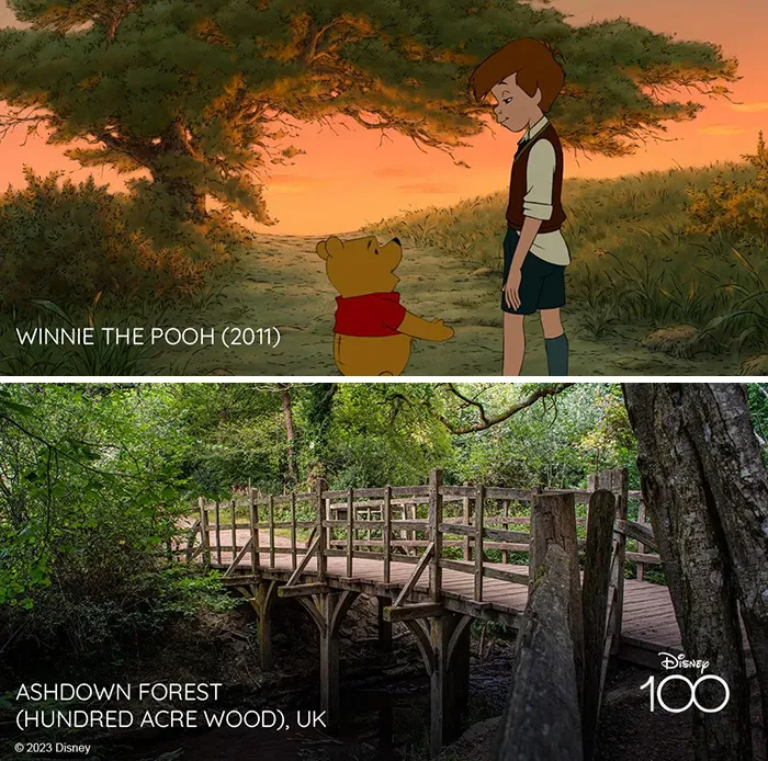 Декорации мультфильма «Винни-Пух» — Эшдаунский лес, Великобритания.