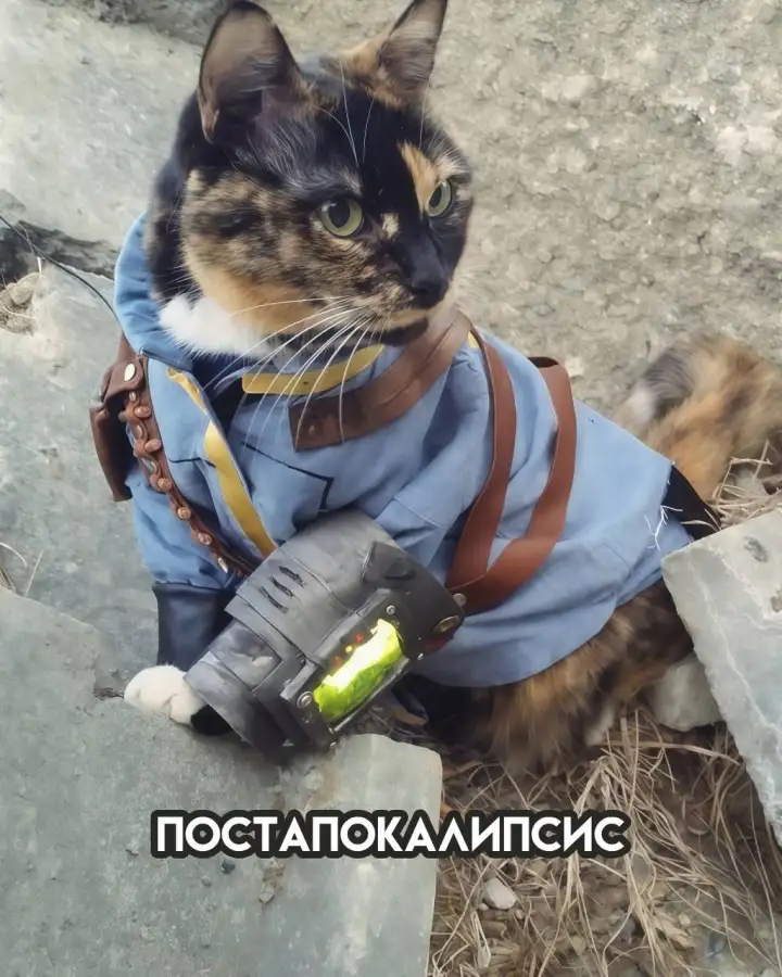 Постапокалипсис. Постапокалипсис.