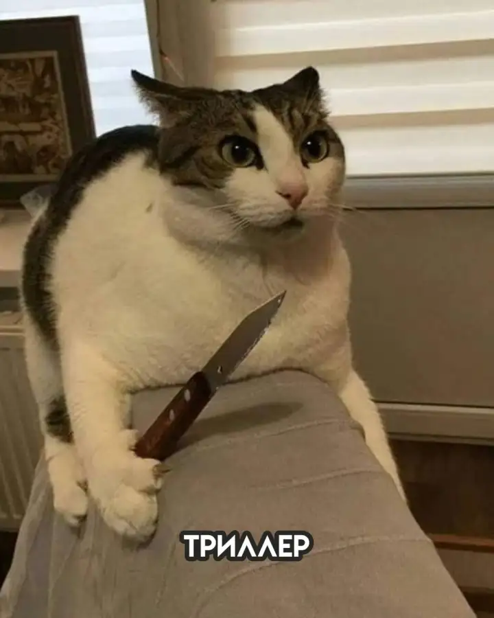 Триллер. Триллер.