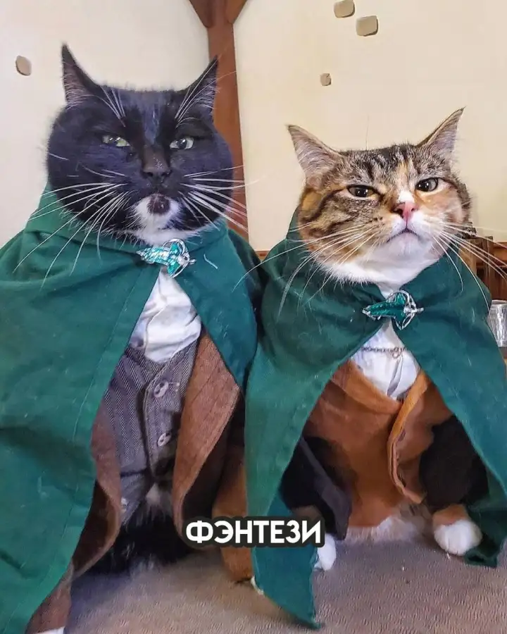 Фэнтези. Фэнтези.