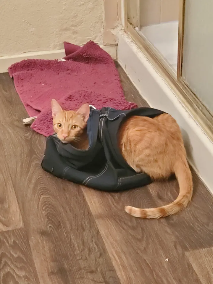 «Мои шорты стали туннелем». 