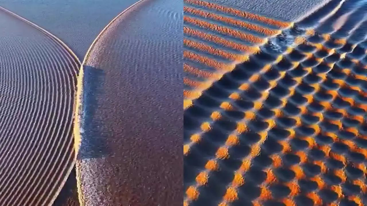 Природная иллюзия «рыбья чешуя» на реке Цяньтан в Китае.