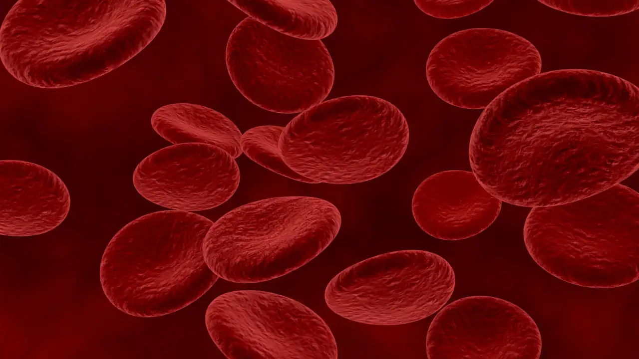 3D визуализации клеток крови.