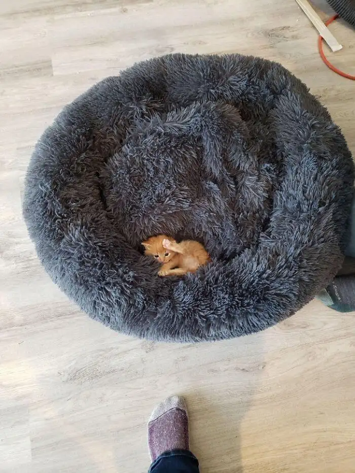 Незаконная маленькость.