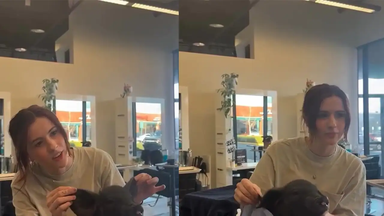 Хрюшка в парикмахерской.