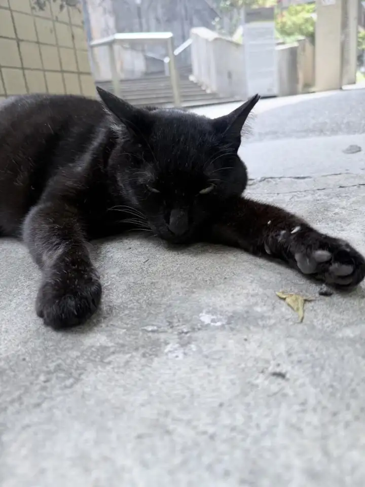 Провести необходимый анализ. Провести необходимый анализ.