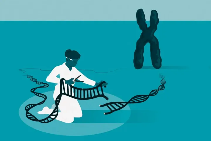 Технологию CRISPR можно использовать для удаления проблемных генов.