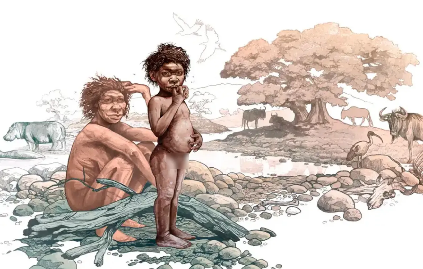 Homo erectus на просторах Эфиопского нагорья.