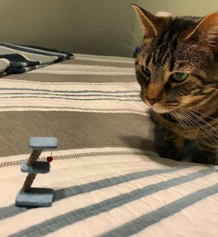 «Всегда проверяйте размеры товара перед заказом в интернет-магазине».