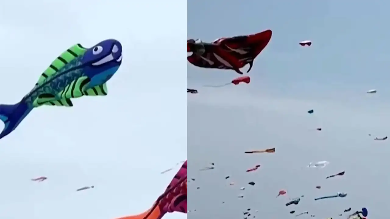 Фестиваль воздушных змеев.