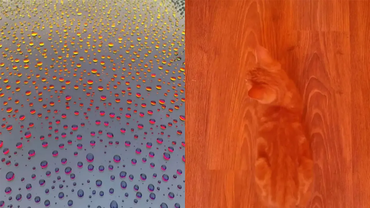 Фото, которые порадуют вашего внутреннего перфекциониста.