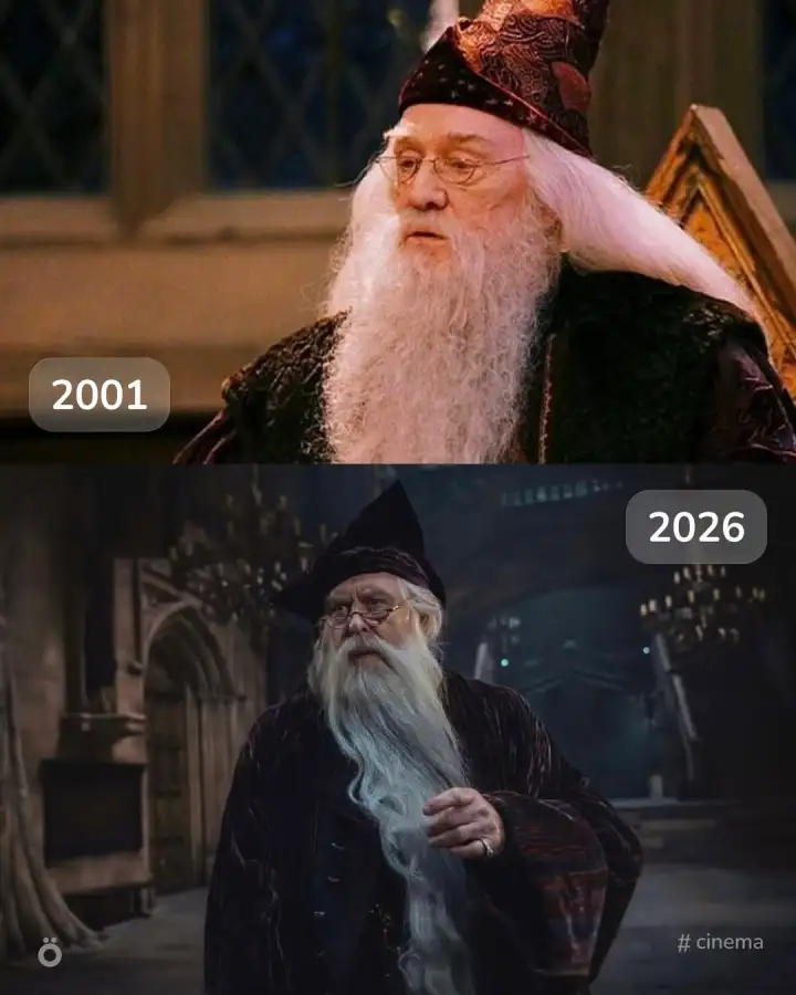 Альбус Дамблдор.