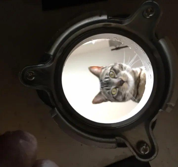 «Мой домовладелец заменял нашу раковину и прислал мне это».