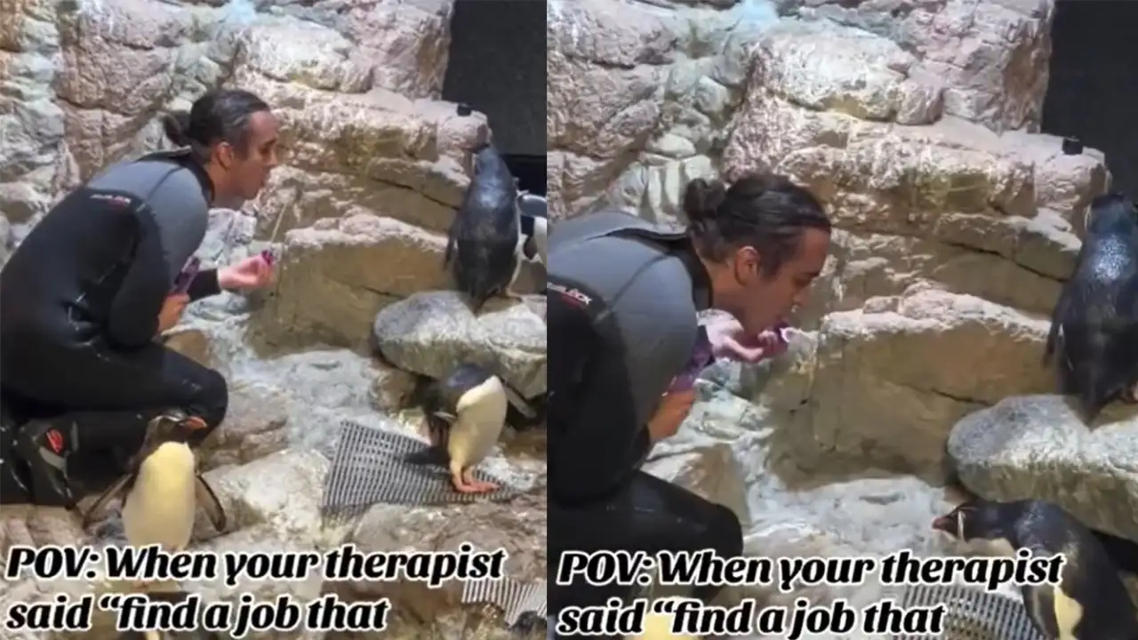 Парень надувает пузыри для пингвинов.