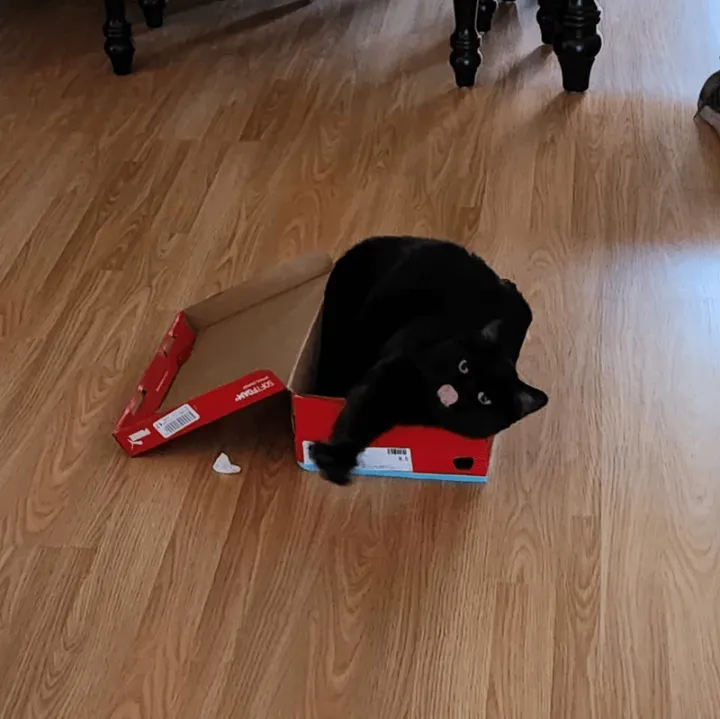 Пустота в коробке. 