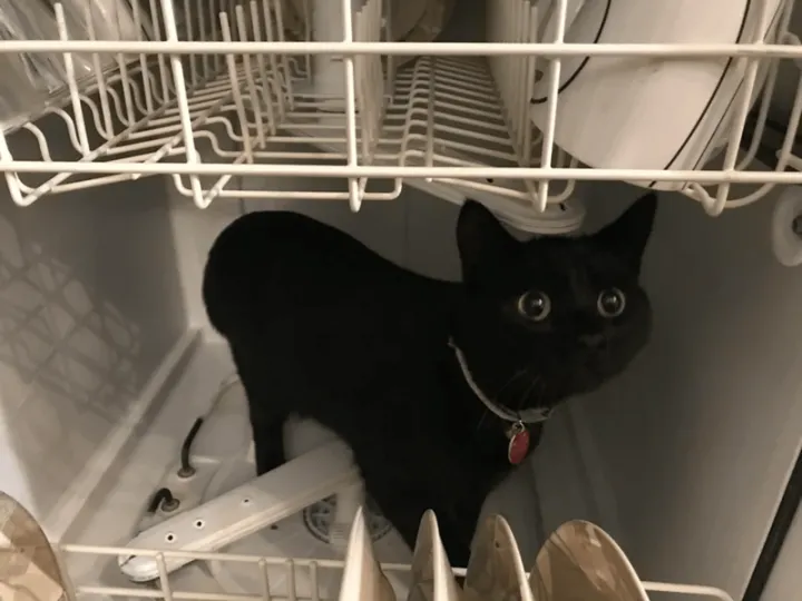 «Его прозвище — Мультяшка. Потому что у него огромные глаза».