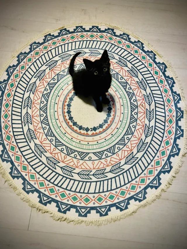 «Моя маленькая Миа».