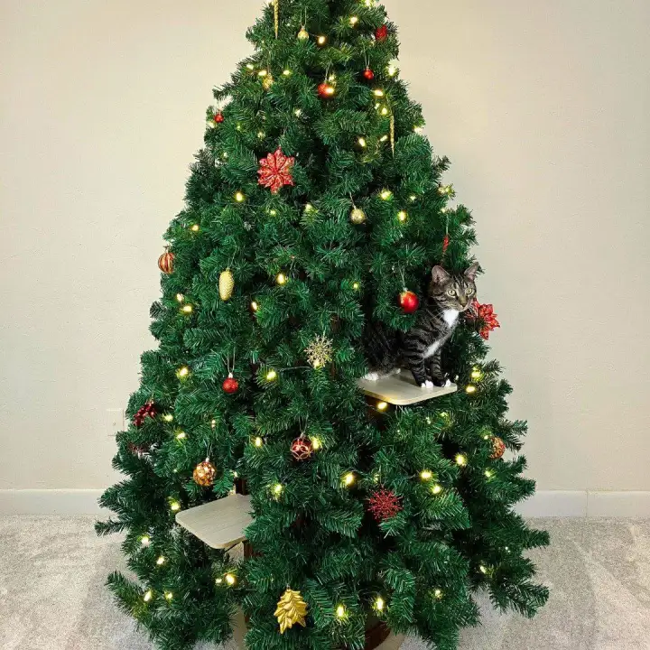 Это буквально кошачий домик, в котором называются ёлочные ветки.