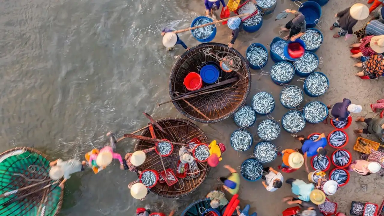 Утренняя рыбалка во Вьетнаме, провинция Куангнам.