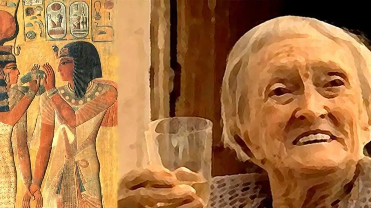 Дороти Иди (Омм Сети).