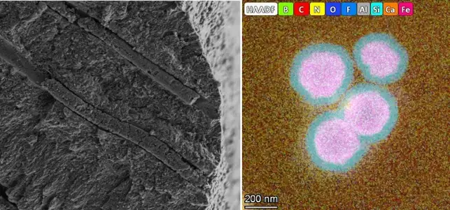 Микроскопическое изображение повреждённых дентинных канальцев, которые закупорили боты.