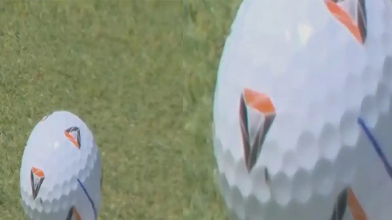 Муха на мяче для гольфа.