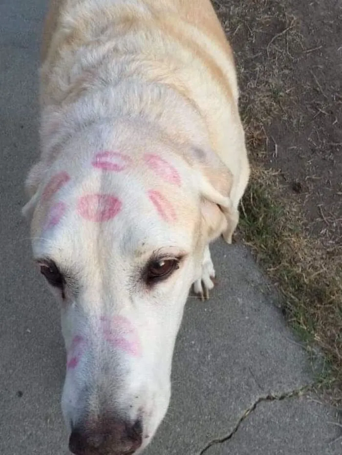 Самый зацелованный хороший мальчик.