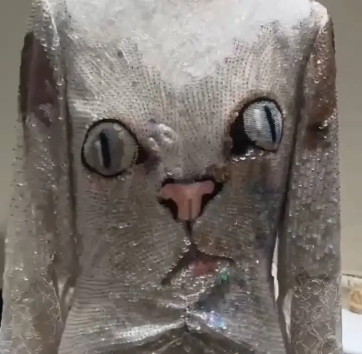 Платье, отражающее всеобщее состояние на конец 2025 года.