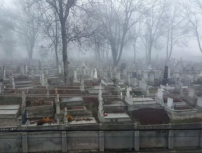 «Мой вид на отель. На самом деле приятно иметь тихих соседей».