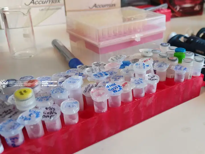 Антитела ламы в пробирках.