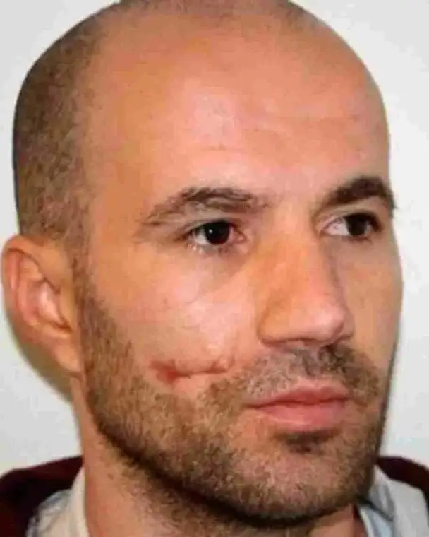 Тома Таулант. Тома Таулант.