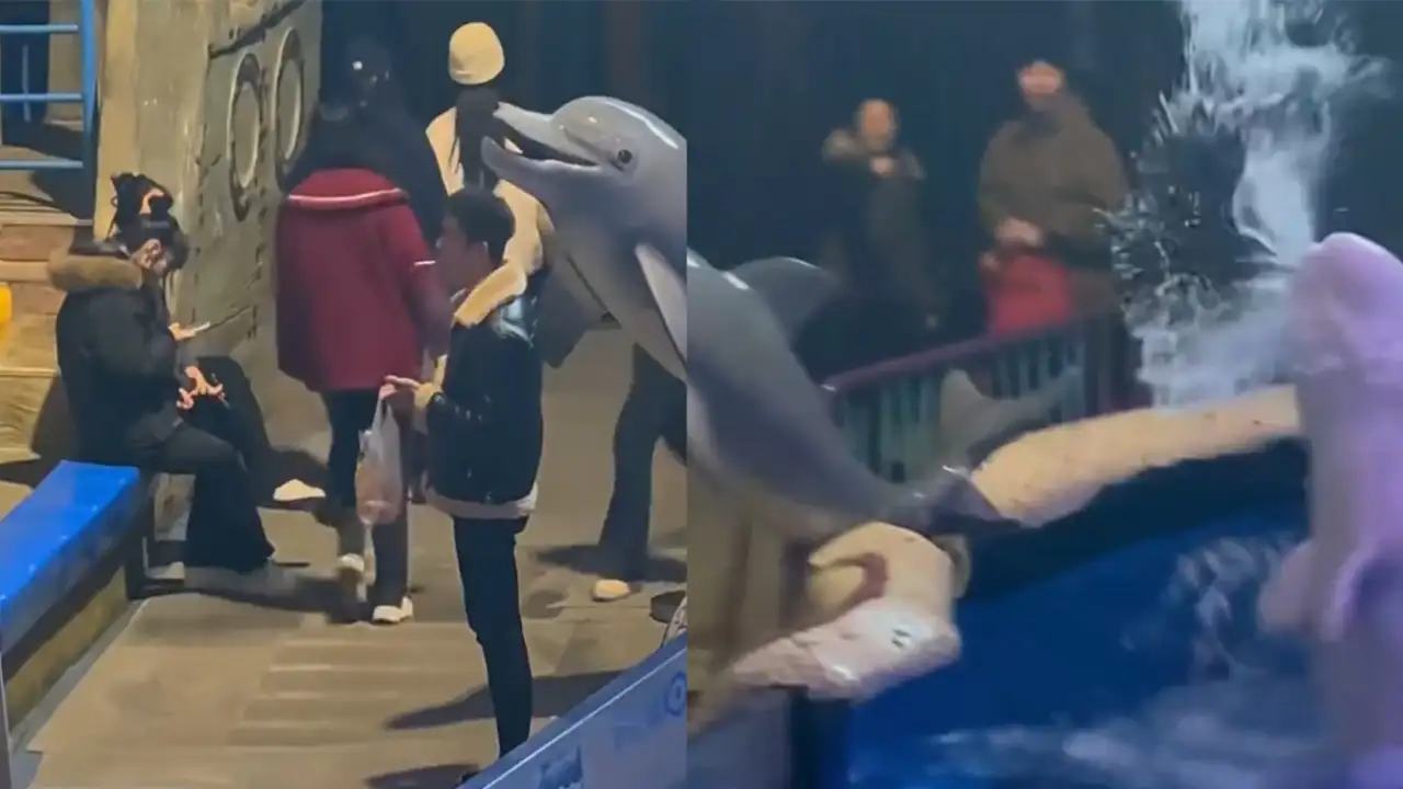 Белуха облила посетителя.