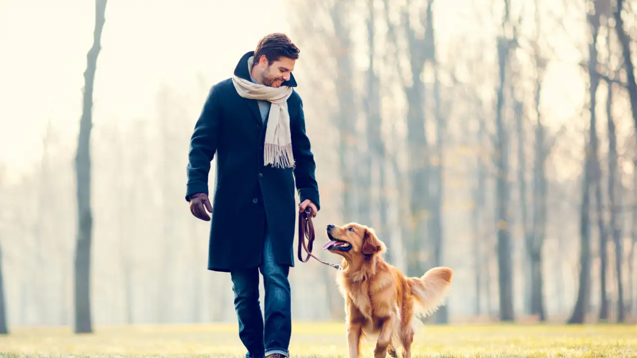 Прогулка с собакой.