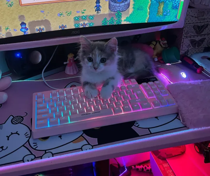 «Я играю или вселенная уже все решила за меня?»