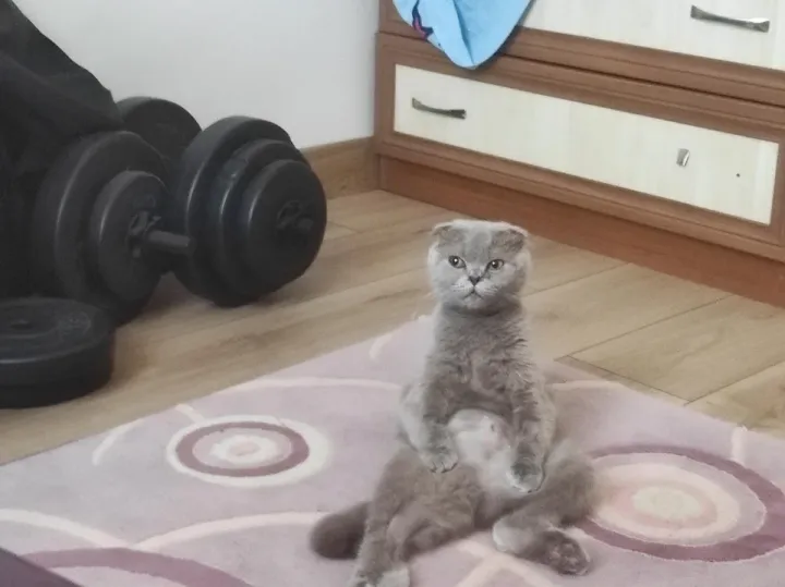 «Скептический взгляд».