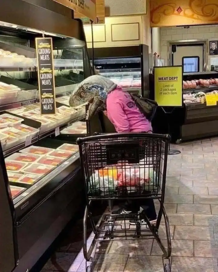 Вряд ли девушка в маске вымерших динозавров вселяла оптимизм в окружающих. Вряд ли девушка в маске вымерших динозавров вселяла оптимизм в окружающих.