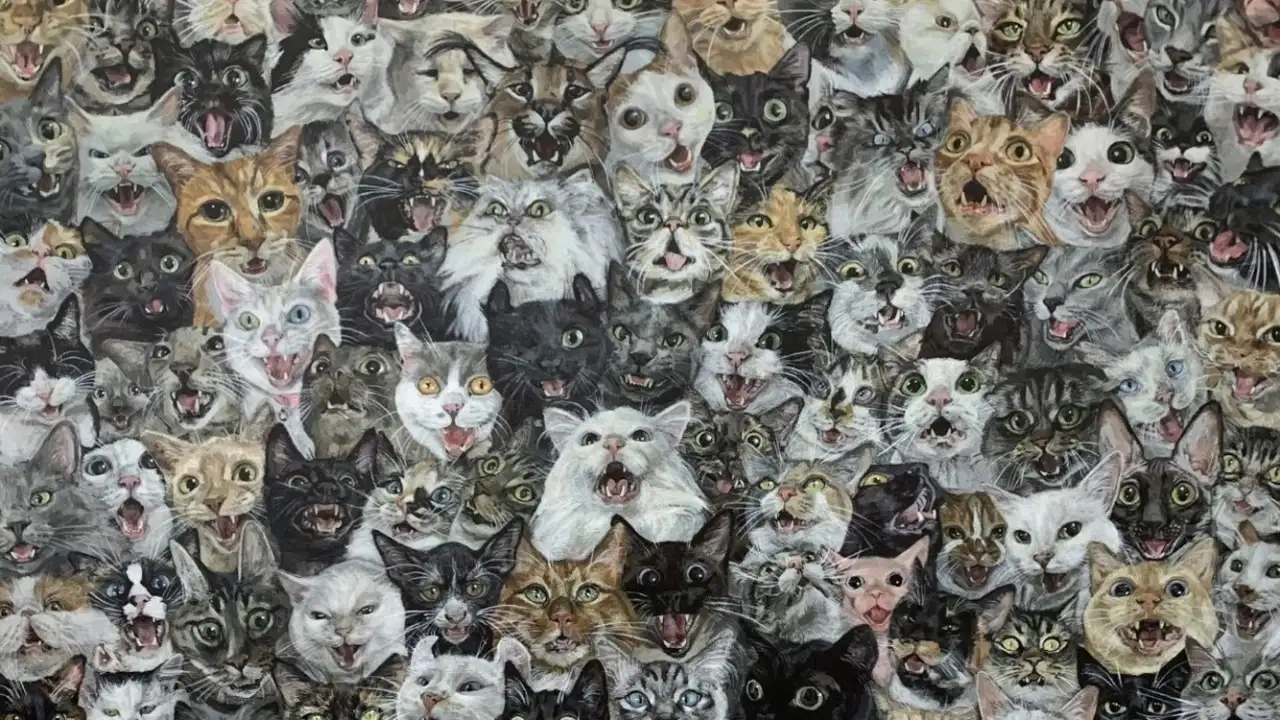 Картина «120 котов (и одна мышка) делают ААААА».