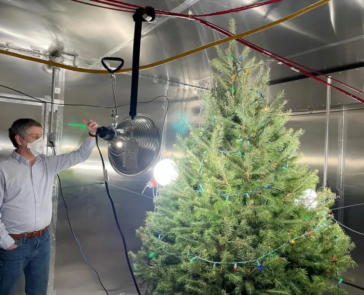 Исследователи поместили обычную рождественскую ёлку в герметичную камеру на 17 дней.