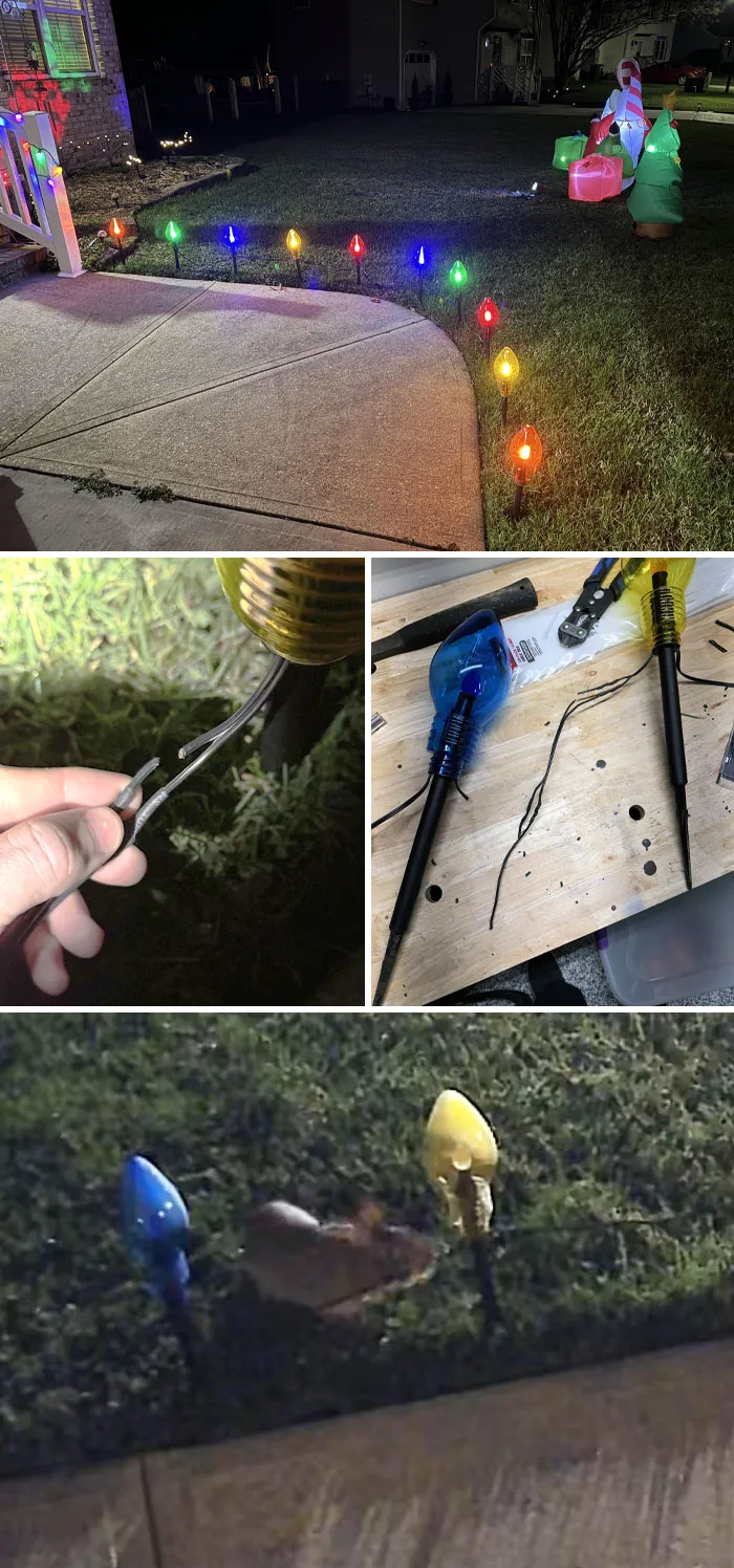 «Кролик оставил нас без огоньков».