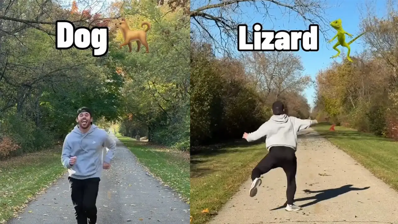 Походка животных. 